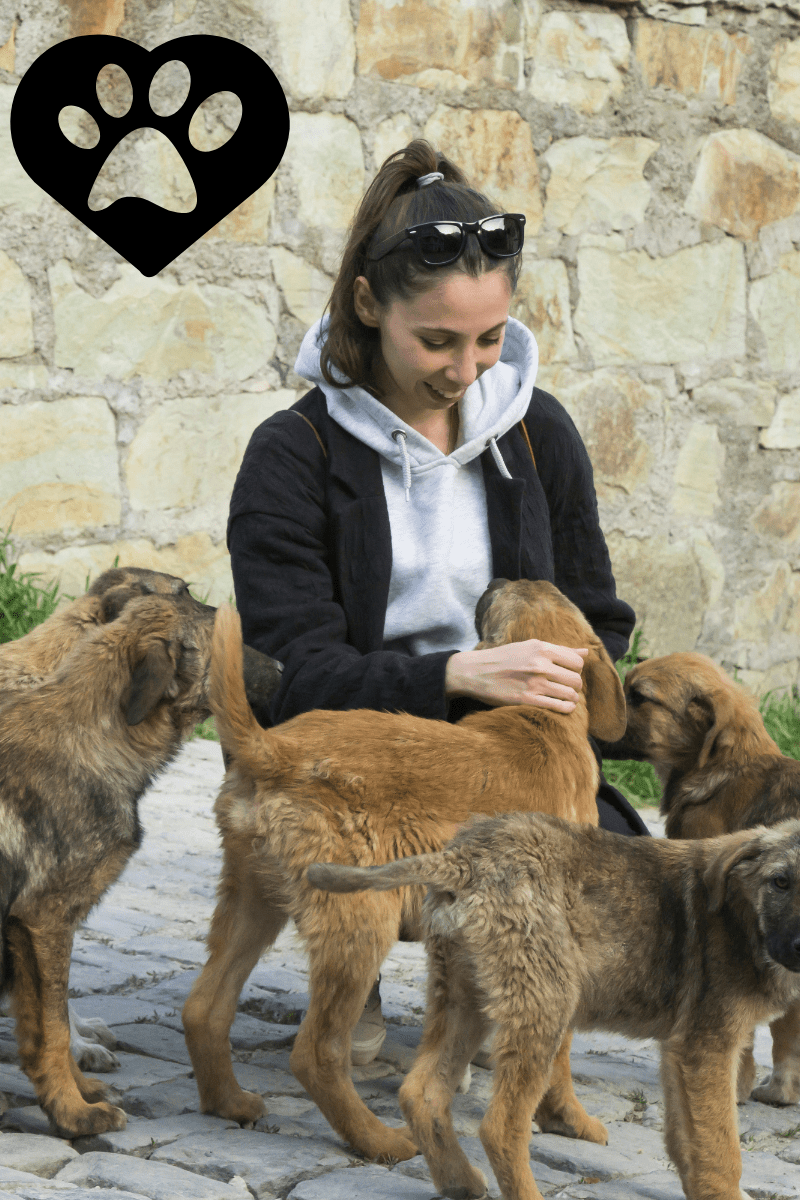 Orlando para Amantes de Animais